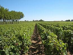 Les Grands Vignobles