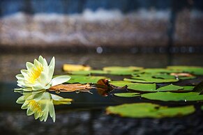Kurashiki Ivy Square