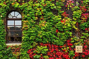 Kurashiki Ivy Square