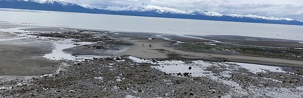 Ocean House Inn & Condos