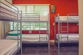 Beds n' Drinks Hostel