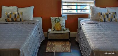 Beds n' Drinks Hostel