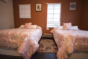 Beds n' Drinks Hostel