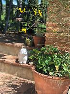 Al Giardino degli Etruschi