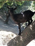 Al Giardino degli Etruschi