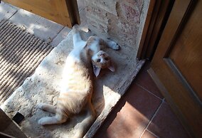Al Giardino degli Etruschi