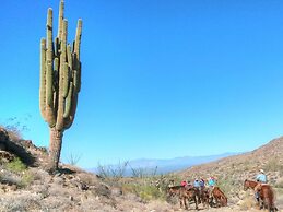Stagecoach Trails Guest Ranch