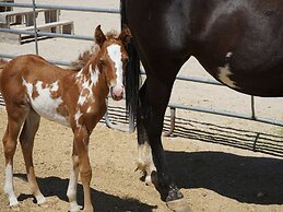 Stagecoach Trails Guest Ranch