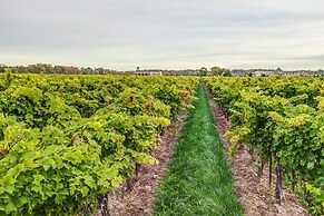 Vineyard Villa Bed & Breakfast