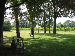 Vineyard Villa Bed & Breakfast