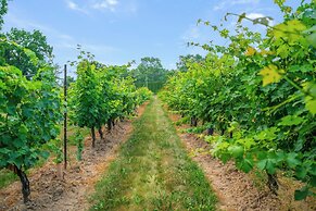 Vineyard Villa Bed & Breakfast