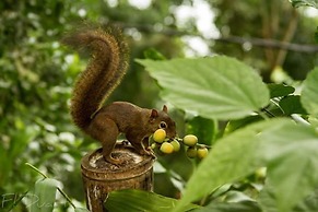 La Dolce Vita pousada e Mergulho