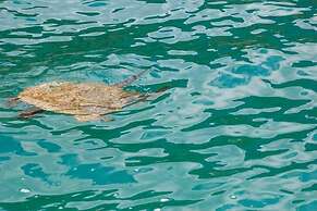 La Dolce Vita pousada e Mergulho