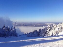 Motel Tremblant