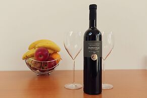 Apartments Vila Adrijana and Fitness Studio Wolf