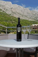 Apartments Vila Adrijana and Fitness Studio Wolf