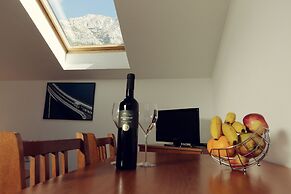 Apartments Vila Adrijana and Fitness Studio Wolf