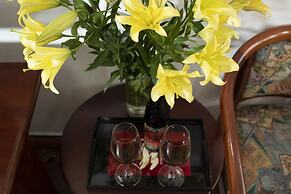 Vilion Central Hotel