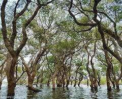 Golden Temple Residence