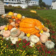 Anchorage Inn and Resort