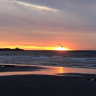 Anchorage Inn and Resort