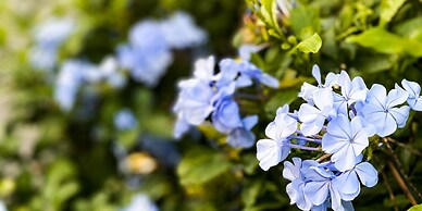 United Resort Yomitan