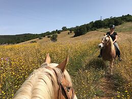 Agriturismo San Ottaviano