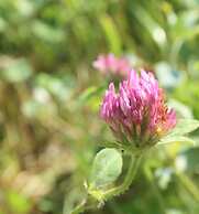 Mountain View Resort