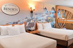 Mt. Olympus Water & Theme Park Resort