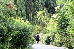 BV Borgo Del Principe