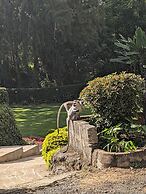 Mvuli Hotel
