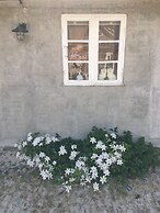Farm61