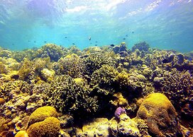 Scuba Tiger Semporna Holiday Resort