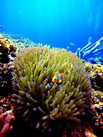 Scuba Tiger Semporna Holiday Resort