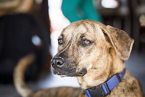 Present Moment Retreat