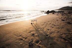 Present Moment Retreat