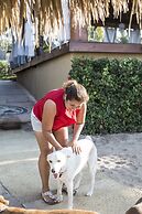 Present Moment Retreat