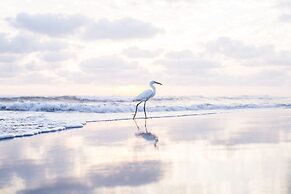 Present Moment Retreat