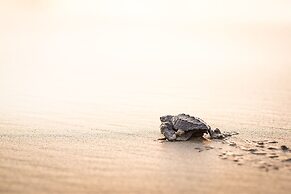 Present Moment Retreat