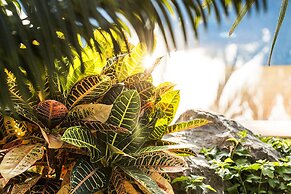 Present Moment Retreat