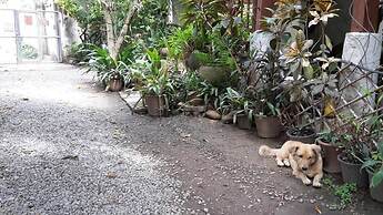 Baan Songjum Homestay