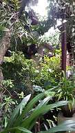 Baan Songjum Homestay