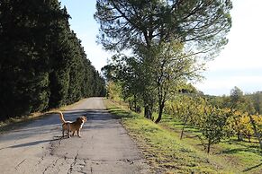 Agriturismo Campanacci