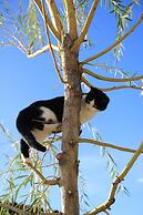 Agriturismo Campanacci