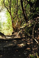 Casey's Hotel Glengarriff