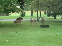 Oak Hill Bed & Breakfast