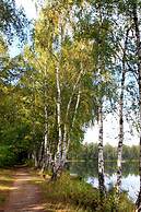 Hotel am Springhorstsee