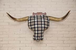 Bulls Head