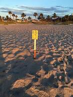 Surf Studio Beach Resort