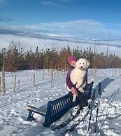 Myra Canyon Lodge + Ranch